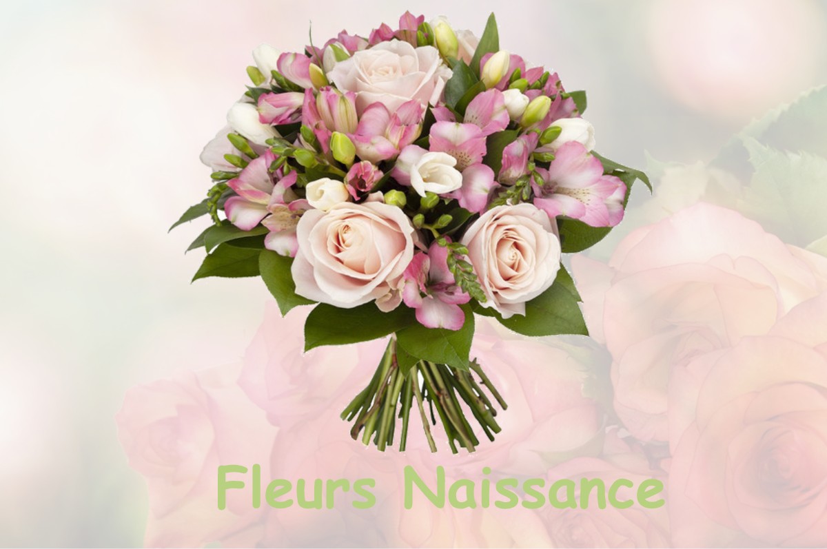 fleurs naissance THOIRETTE