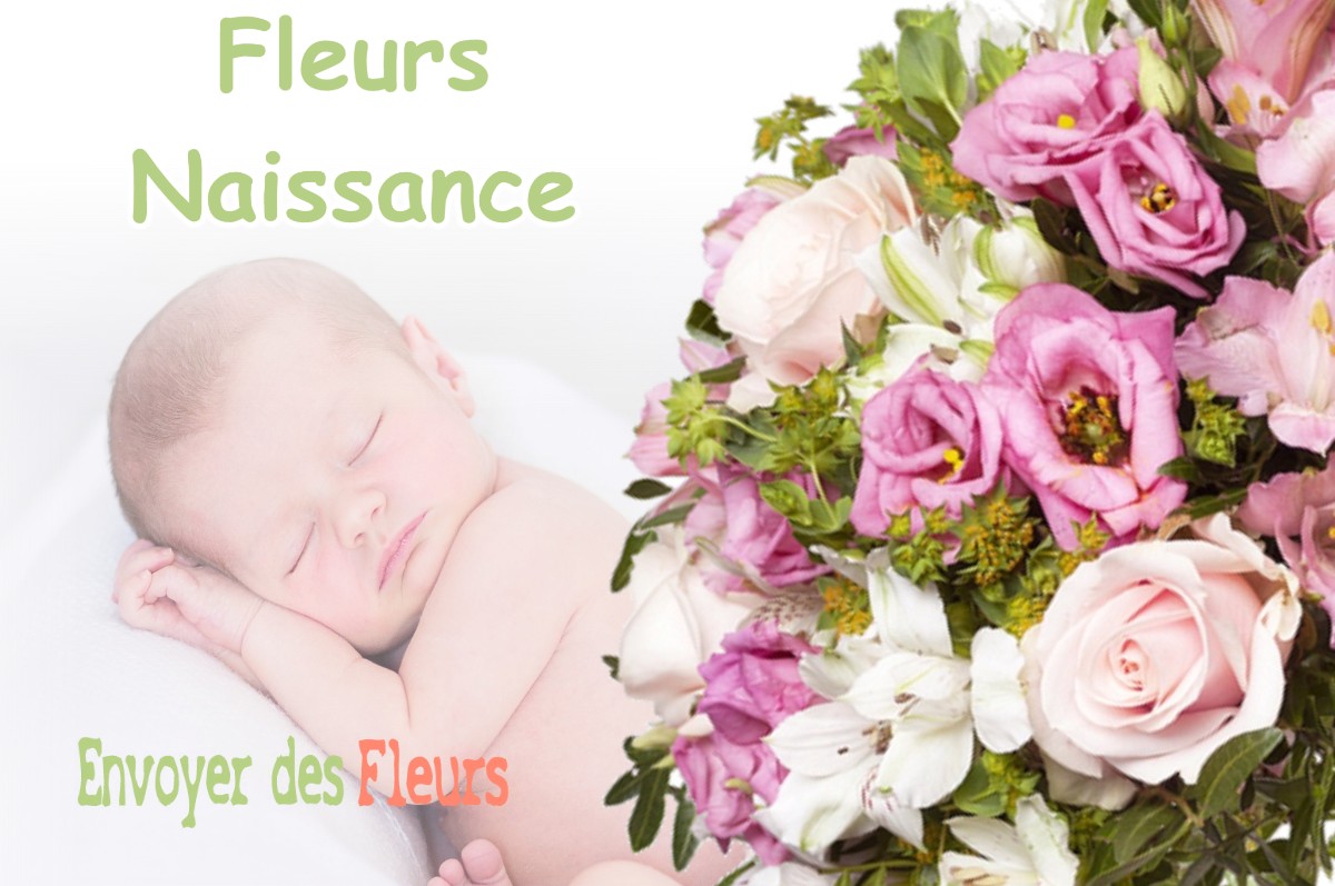 lIVRAISON FLEURS NAISSANCE à THOIRETTE